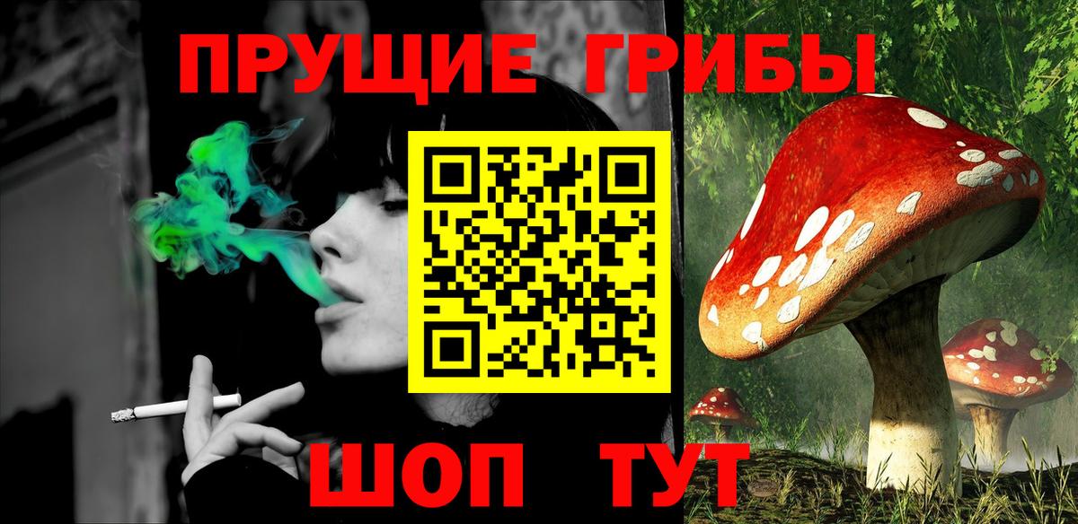 Галлюциногенные грибы Magic Shrooms  Галлюциногенные грибы Psilocybine cubensis  Малоярославец  Вход с VPN 